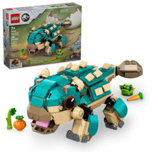 Load image into Gallery viewer, Baby Bumpy: Ankylosaurus