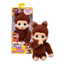 Load image into Gallery viewer, LLP My Baby Monkey Minis Asst