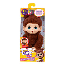 Load image into Gallery viewer, LLP My Baby Monkey Minis Asst