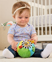 Load image into Gallery viewer, Vtech Animal Discoveries Ball