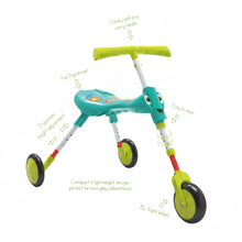 Load image into Gallery viewer, Scuttlebug XL Splodge