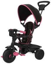 Load image into Gallery viewer, Zoomee 4 in 1 deluxe Pink