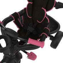 Load image into Gallery viewer, Zoomee 4 in 1 deluxe Pink