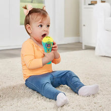 Load image into Gallery viewer, VTech Sing Songs Microphone