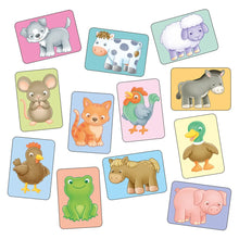 Load image into Gallery viewer, See and Sounds Giant Flashcards