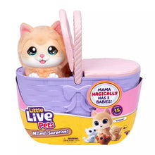 Load image into Gallery viewer, Little Live Pets Mama Surprise Kittens Playset
