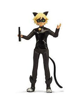 Load image into Gallery viewer, Miraculous Cat Noir
