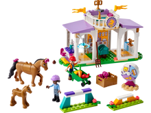 Load image into Gallery viewer, Lego Friends 41746 Horse Training

