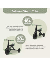 Load image into Gallery viewer, Zoomee 2 in 1 Balance Bike To Trike
