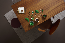 Load image into Gallery viewer, Lego Botanicals 11504 Peace Lily
